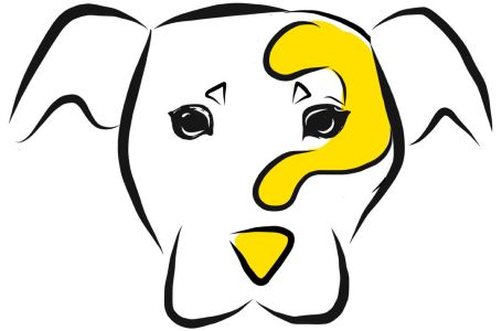 Formularz zgłoszeniowy